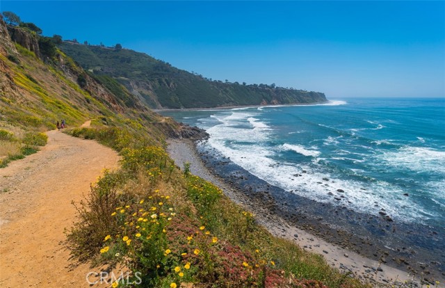 MLS #SB25220735 image #38