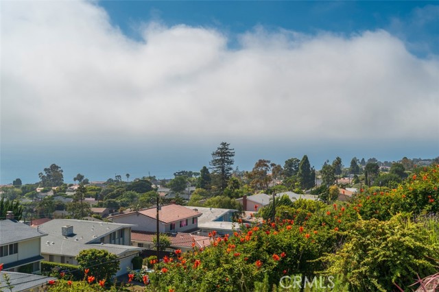 MLS #SB25220735 image #43