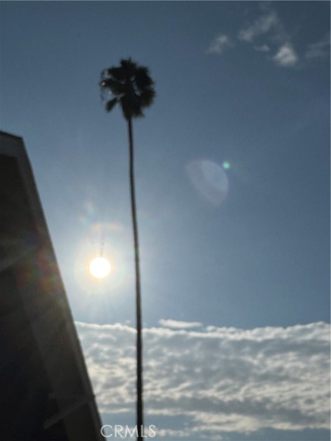 MLS #SB25224093 image #4