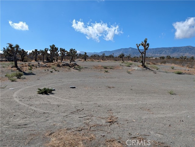 MLS #SB25232950 image #3