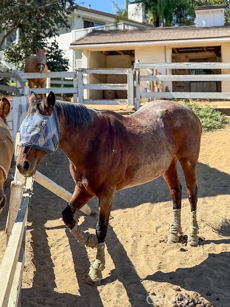 MLS #SB25237219 image #52