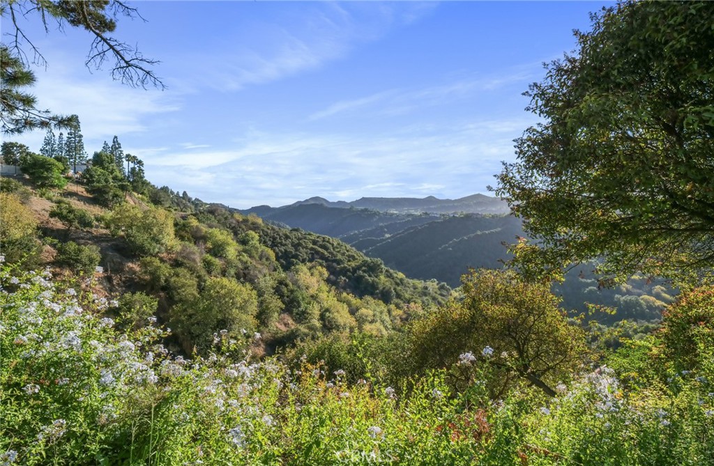 MLS #SB25237772 image #26