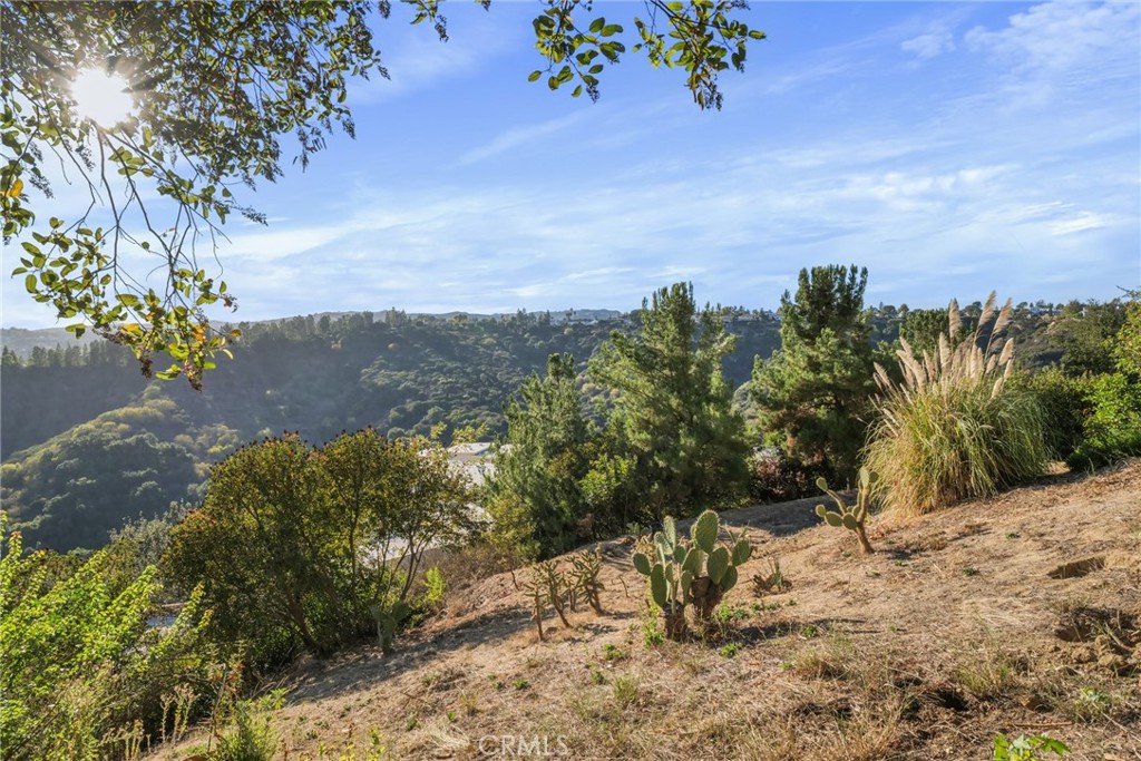 MLS #SB25237772 image #27