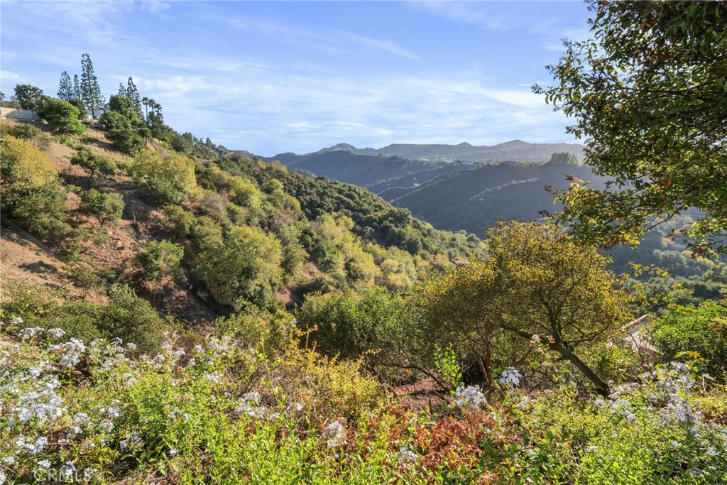 MLS #SB25237772 image #28