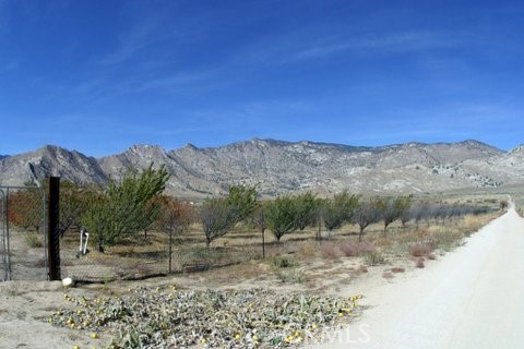 MLS #SB25239937 image #8