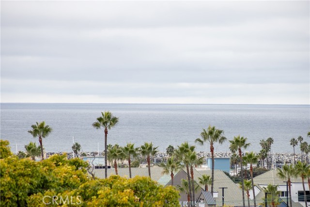 MLS #SB25240356 image #11