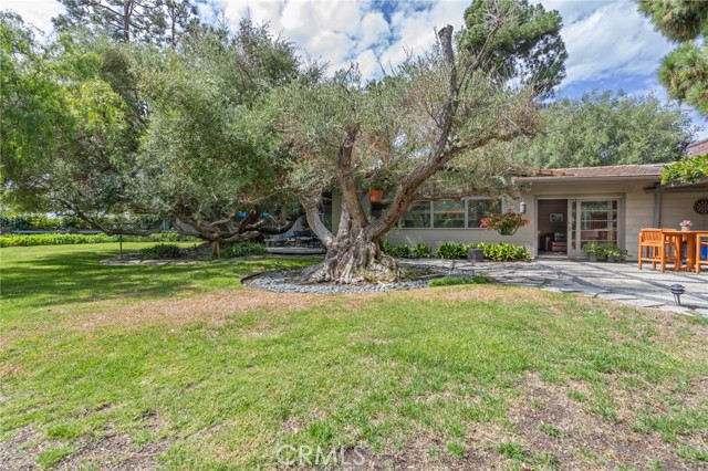 MLS #SB25241901 image #31