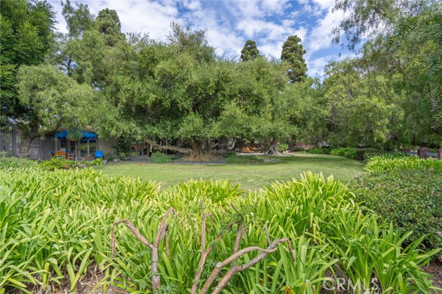 MLS #SB25241901 image #36