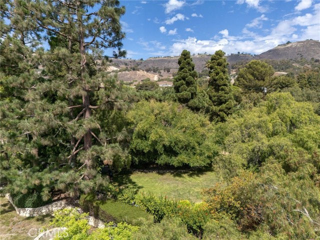 MLS #SB25241901 image #43