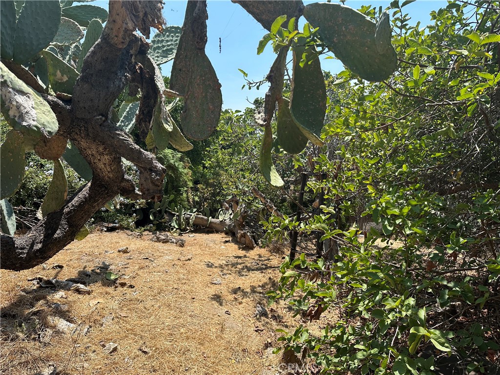 MLS #SB25242238 image #1