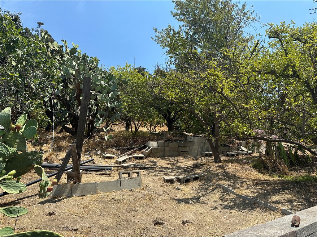 MLS #SB25242238 image #3