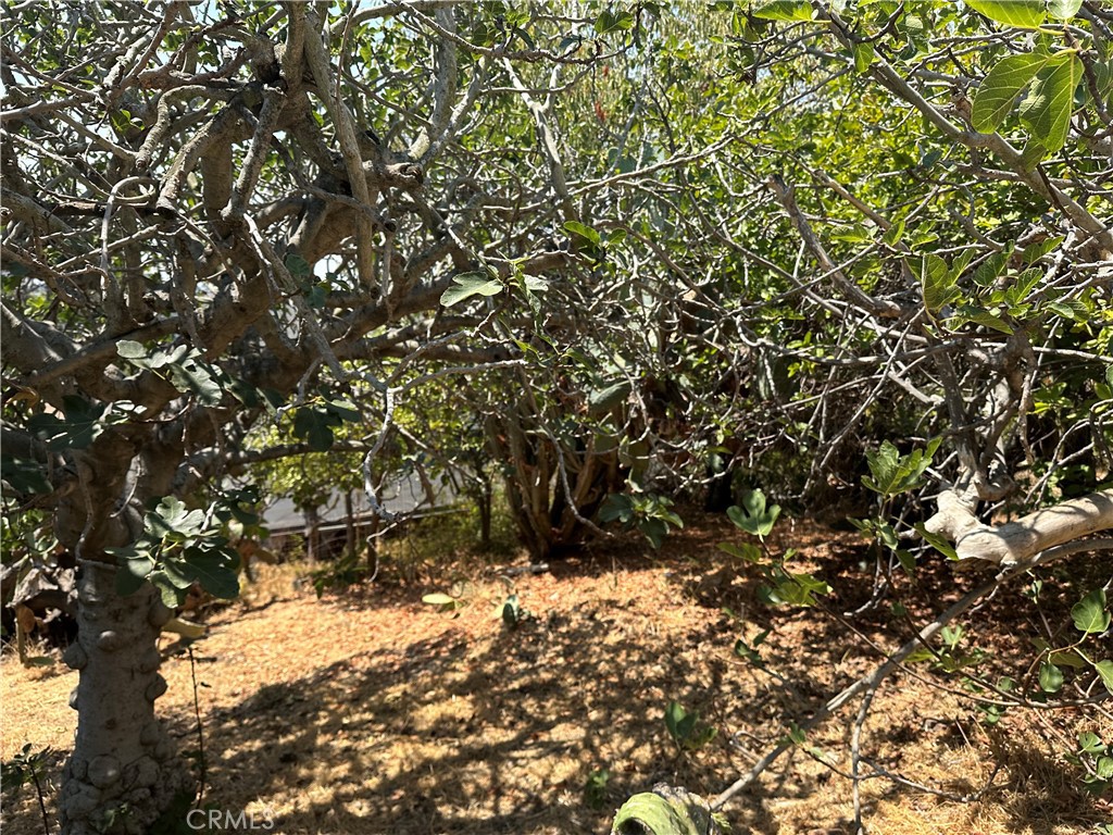 MLS #SB25242238 image #4