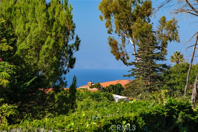 MLS #SB25243679 image #41