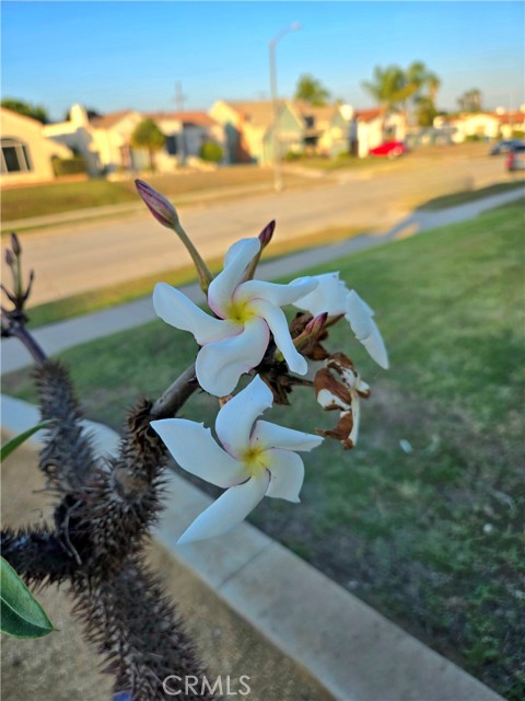 MLS #SB25243933 image #5