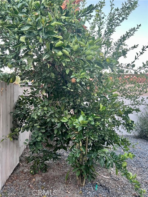 MLS #SB25246329 image #28