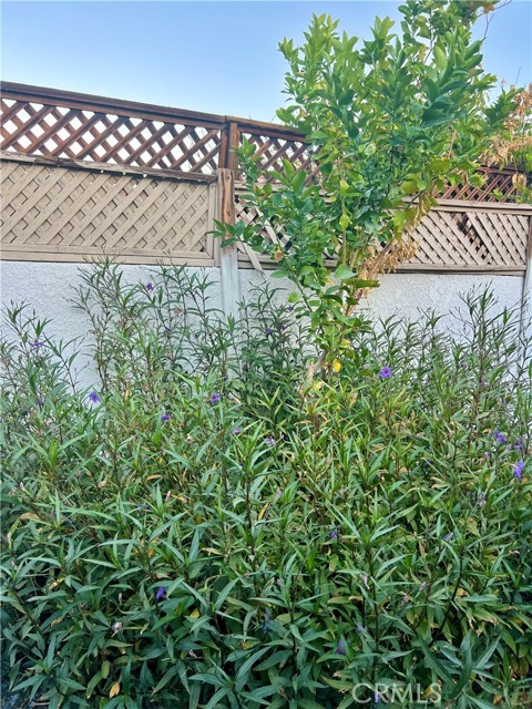 MLS #SB25246329 image #29