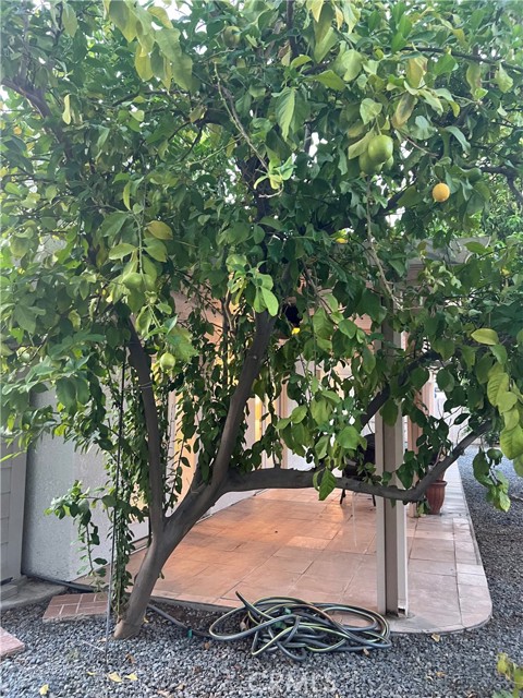 MLS #SB25246329 image #35