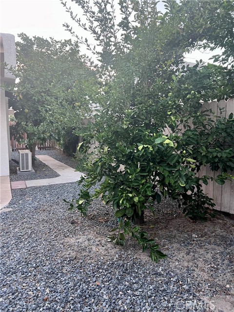 MLS #SB25246329 image #40