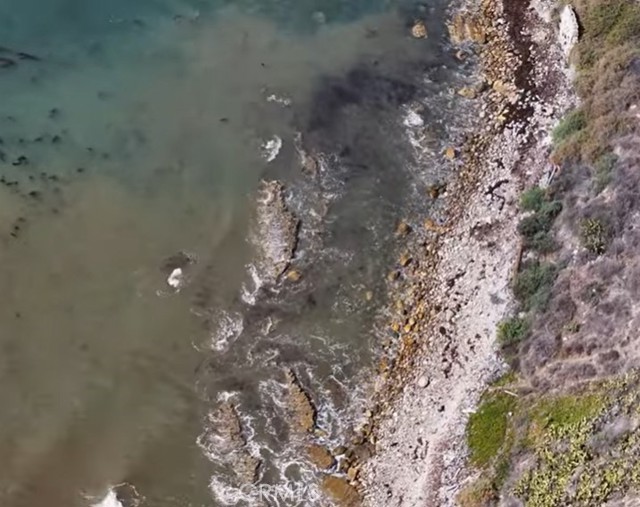 MLS #SB25248849 image #49