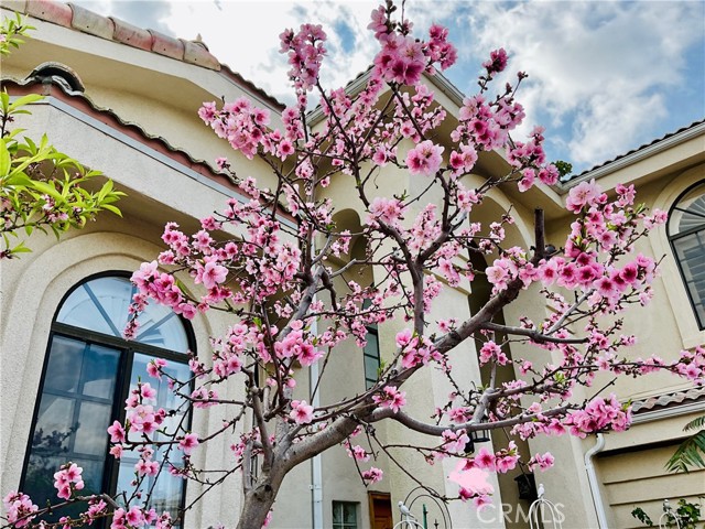 MLS #SB25252025 image #1