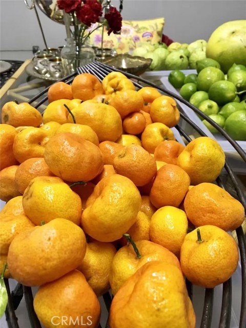 MLS #SB25252025 image #10