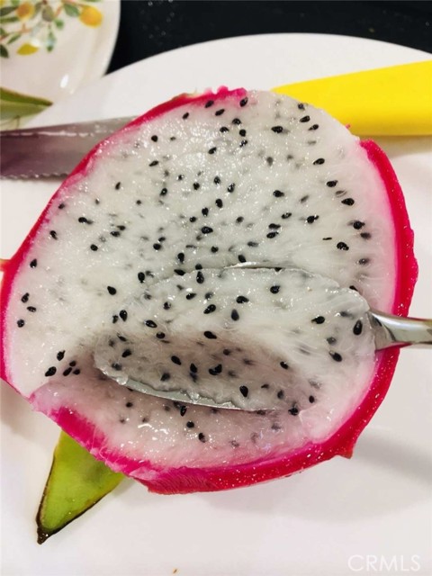 MLS #SB25252025 image #11