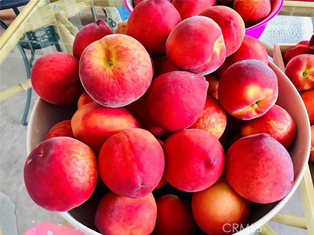 MLS #SB25252025 image #14