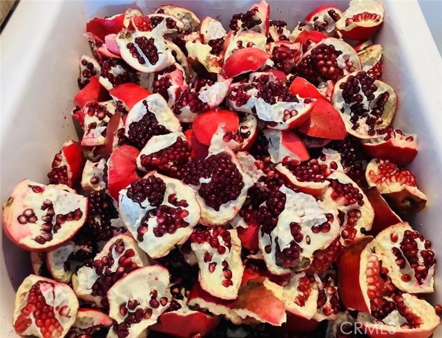 MLS #SB25252025 image #21