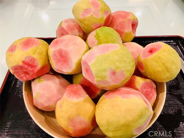 MLS #SB25252025 image #23