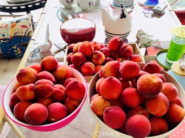 MLS #SB25252025 image #24