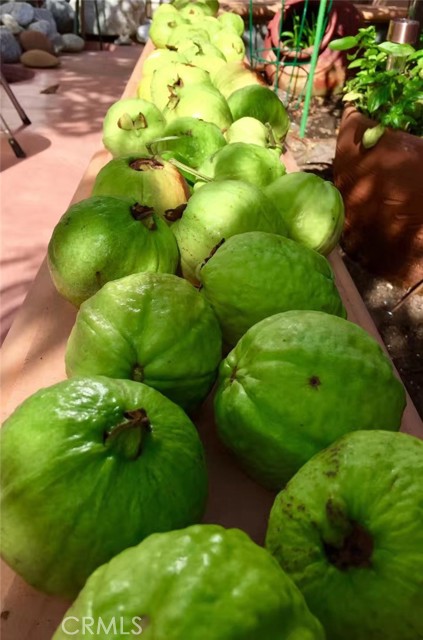 MLS #SB25252025 image #25