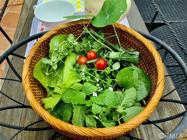 MLS #SB25252025 image #26