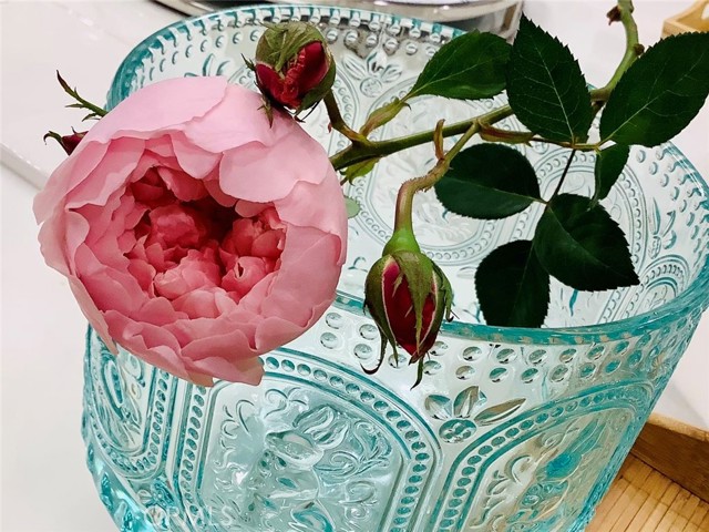 MLS #SB25252025 image #31