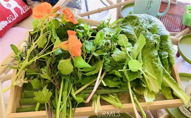 MLS #SB25252025 image #36