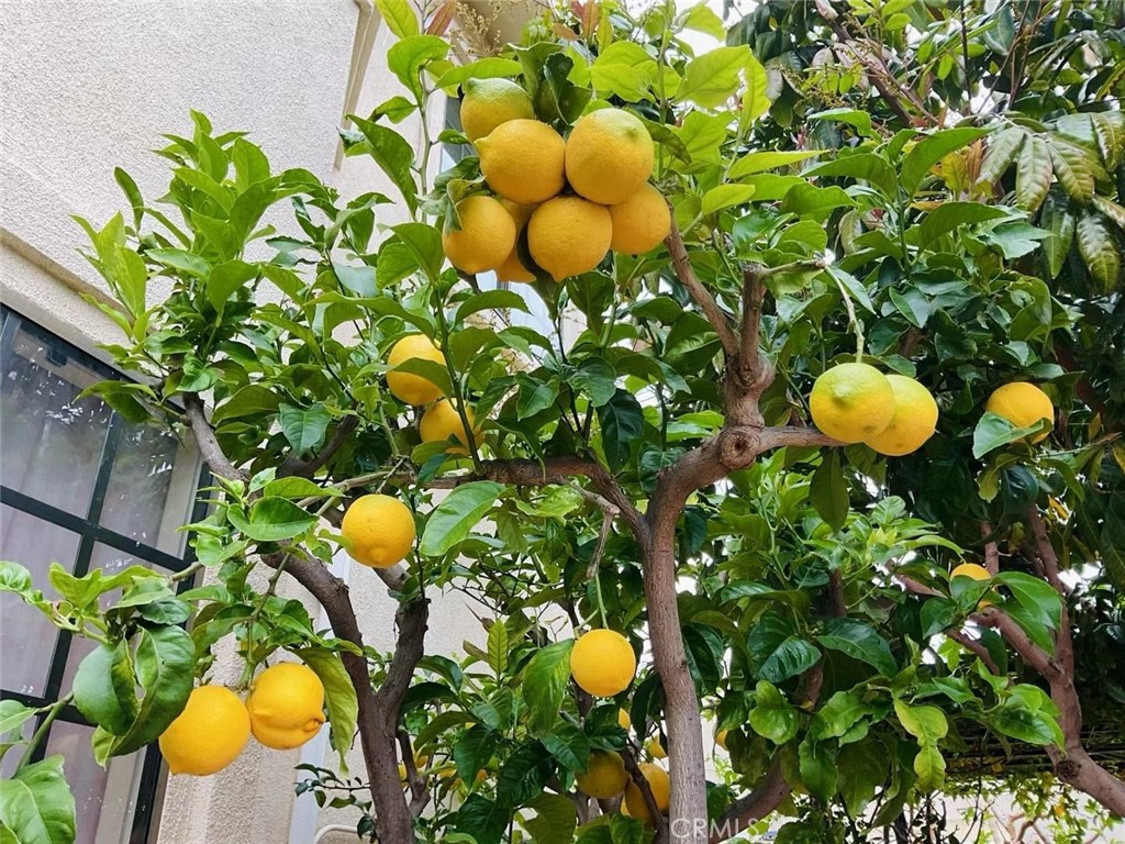 MLS #SB25252025 image #43