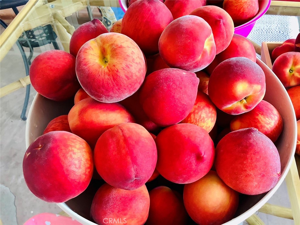 MLS #SB25252025 image #45