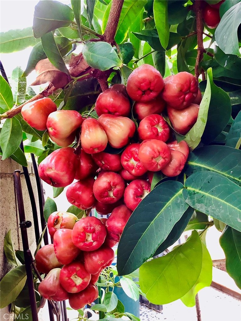 MLS #SB25252025 image #49