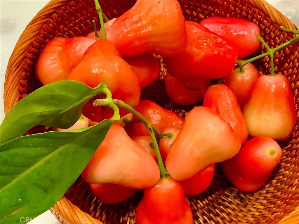 MLS #SB25252025 image #50