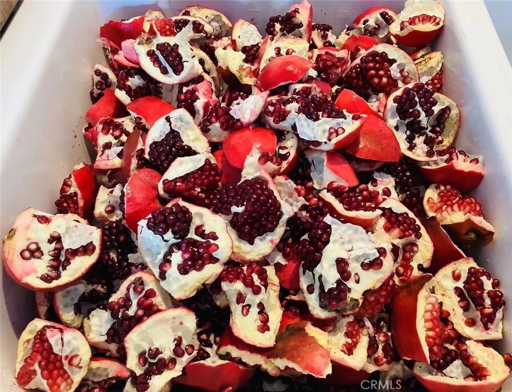 MLS #SB25252025 image #51