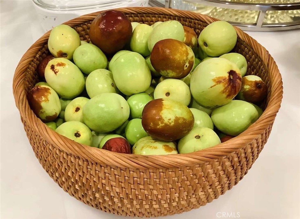 MLS #SB25252025 image #52