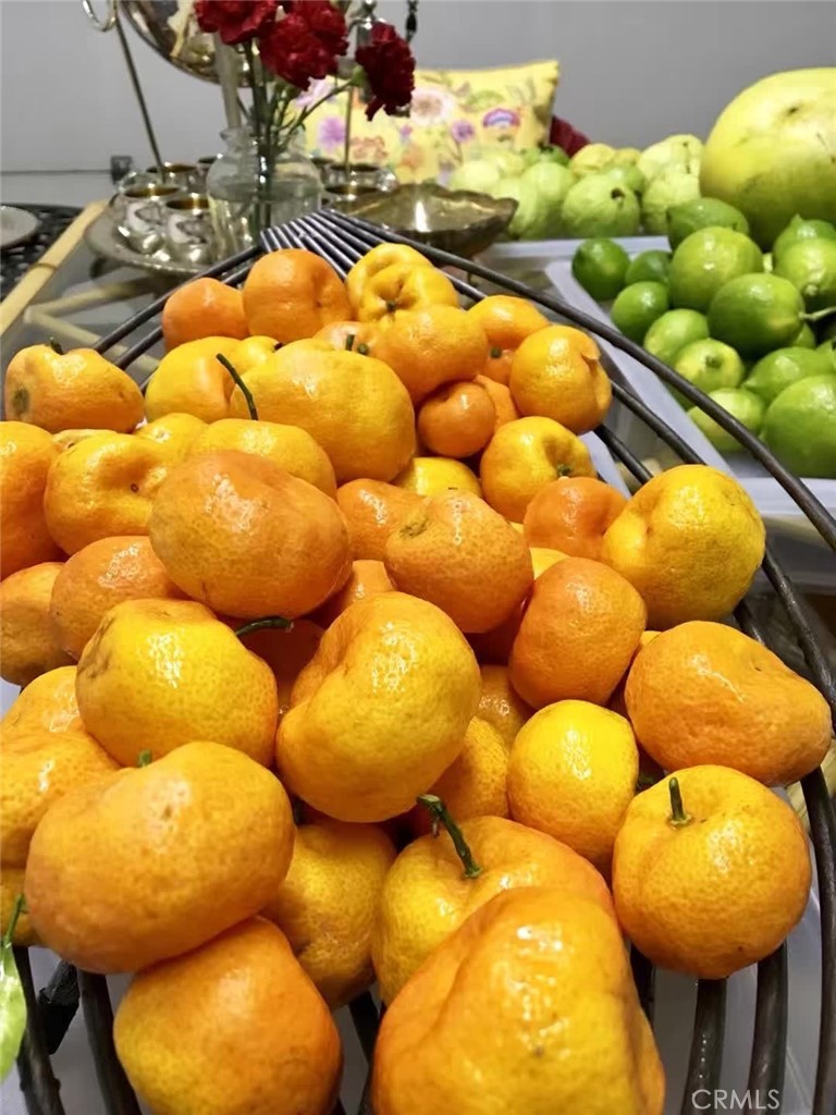 MLS #SB25252025 image #56