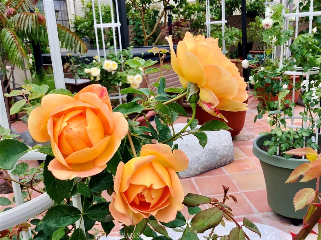 MLS #SB25252025 image #58