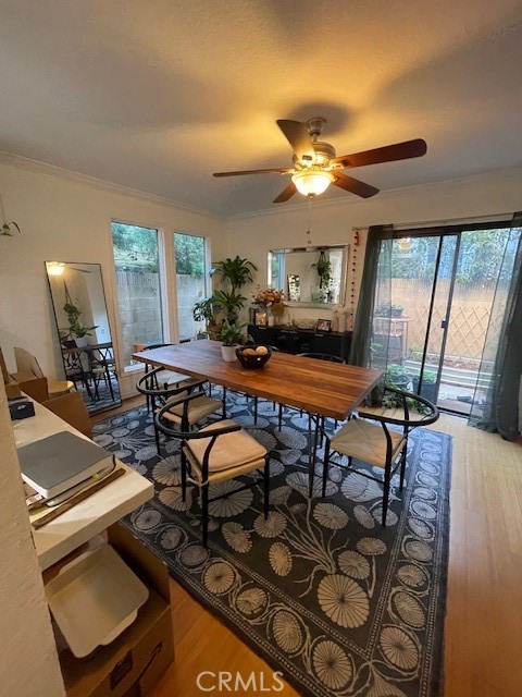 MLS #SB25252551 image #1