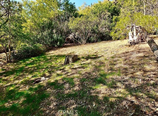 MLS #SB25254800 image #5