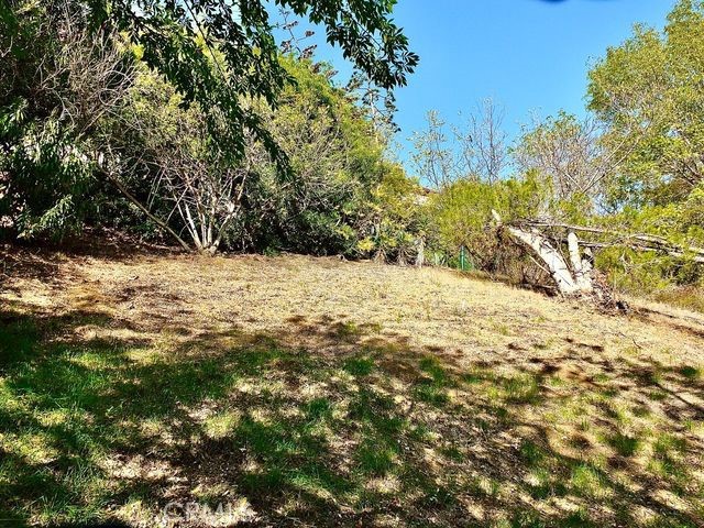 MLS #SB25254800 image #7