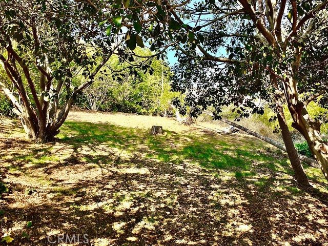 MLS #SB25254800 image #9