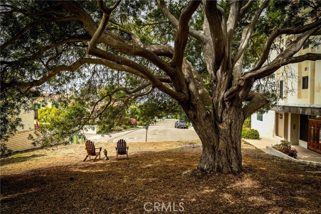 MLS #SB25256580 image #39