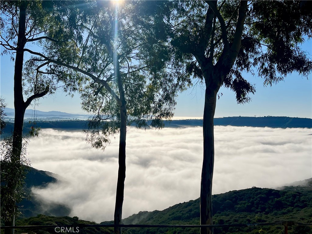 MLS #SB25257603 image #1