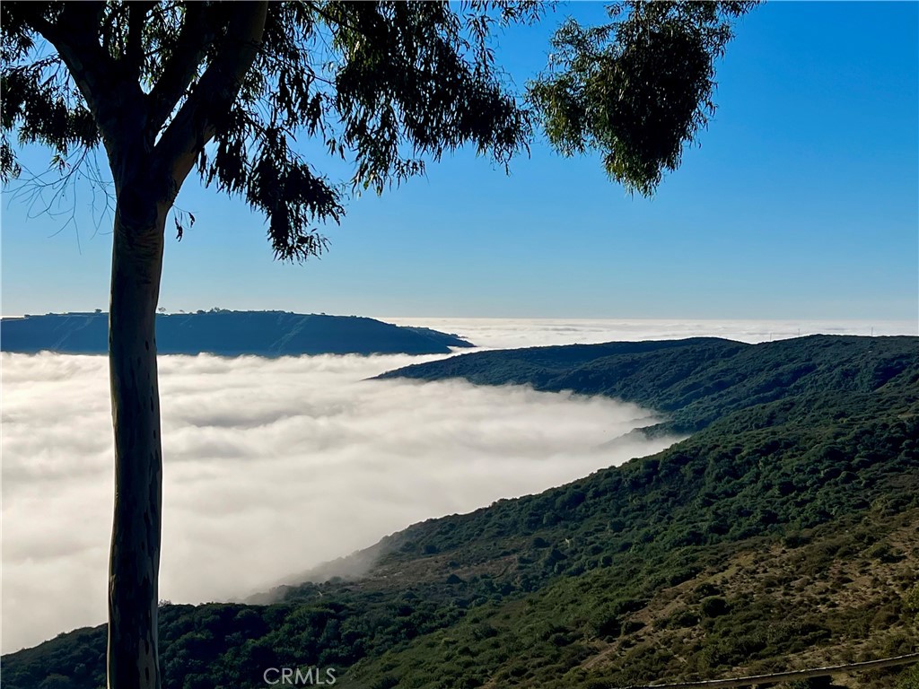 MLS #SB25257603 image #2