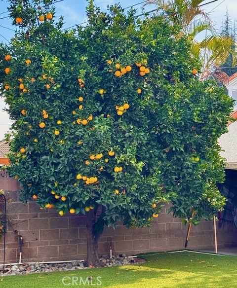 MLS #SB25261072 image #29